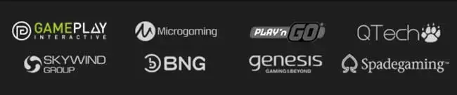 เว็บสล็อตเว็บตรงค่ายใหญ่ อาทิเช่น PG Slot, Gameplay Interactive, Micrograming, Play N GO, QTech, Skywind Group, BNG, Spadegaming, Genesis